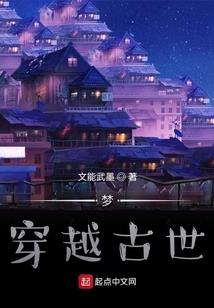 银翼的魔术师