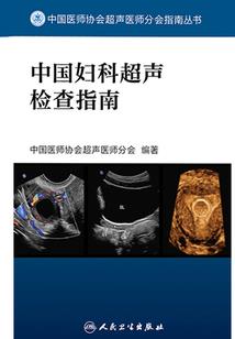 终极巫师