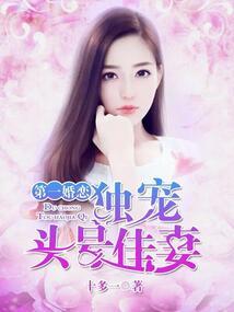 精灵宝可梦之冠军大师