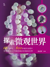 血玉修罗之山海启苍岚