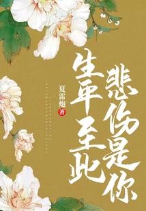 冰雪的魔法师