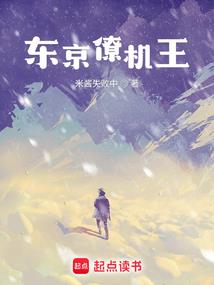 源核I虚伪之光