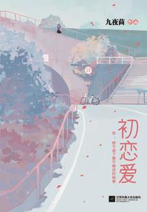 风华绝代之医毒无双