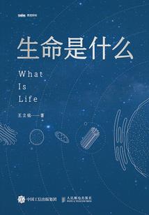御兽时代的最强之龙