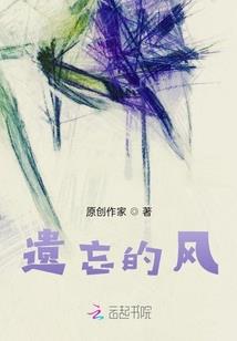 贤者境中期巅峰