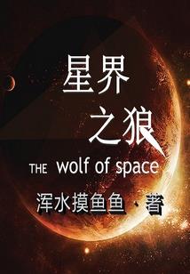 徽章的秘密