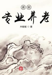 巅峰战甲传