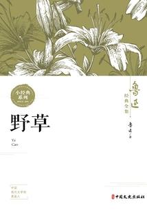 沧记