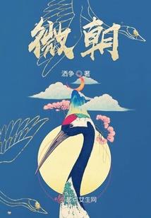 星海纪实