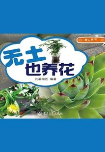 龙鳞玉