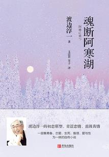 乱世龙枭