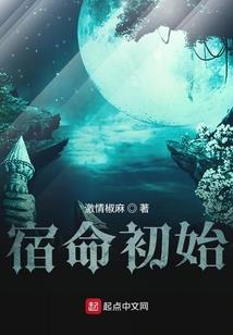 精灵：训练家的日常