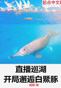 无敌仙少在都市