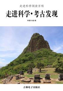 拒婚新娘：闷骚总裁强势爱