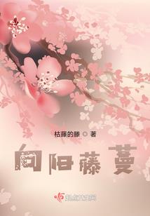 仙梦之龙