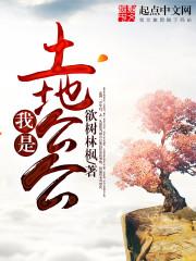 极品男神的夺妻大战
