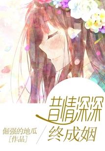 变形金刚领袖级