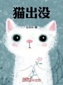 贝拉战记