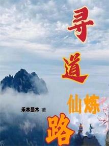 我的上岸生涯