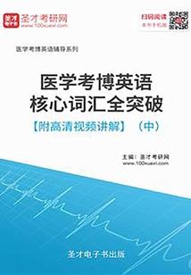 圣王叶天