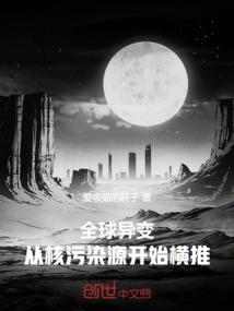 飞砖侠