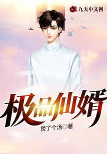 九龙戏珠之侠骨柔肠