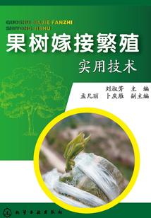 鸿蒙太初传