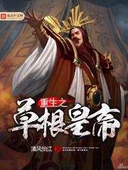 微服私访记