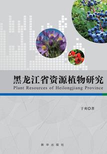 亡心殇