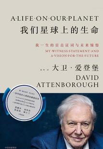 超级全能保镖