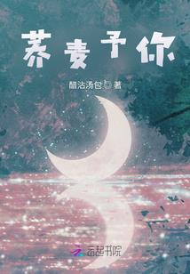 一代盗圣