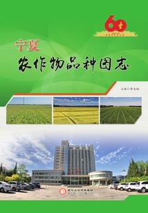 不朽序章