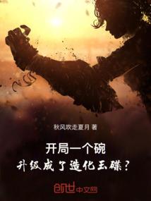 书武大陆