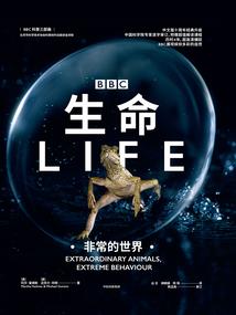 那些年我们错过的男孩儿