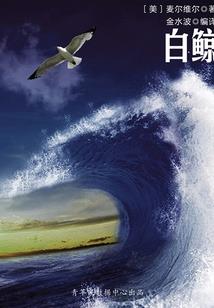 风起时微凉