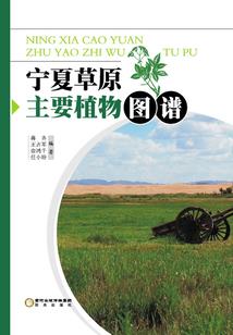 冥元星光