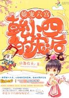 狂少魅妻