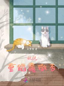 傲娇姐姐攻略手册