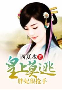 火影路漫漫