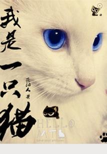 小破面