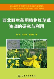 闲云公主