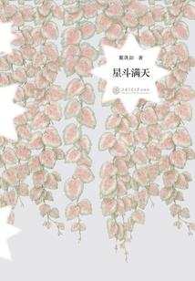 小沉甸