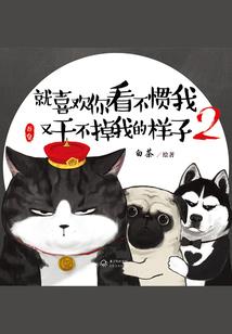 都市制霸