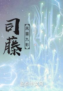 千面王妃神秘王爷