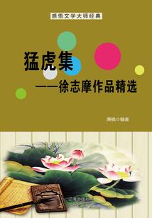 星游梦幻