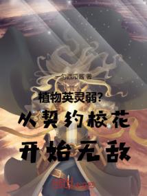 喜羊羊与灰太狼天羊圣战记