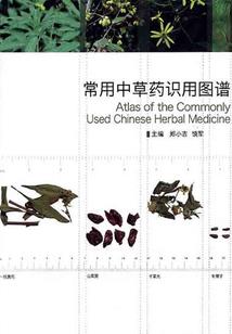 斗血无限
