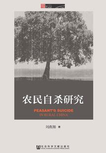 不一样的军师