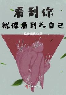 漂流在海贼王世界
