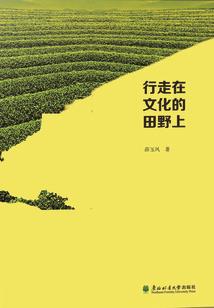 星际运输公司